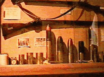 Cannon shells and a rifle (27.1Kb)